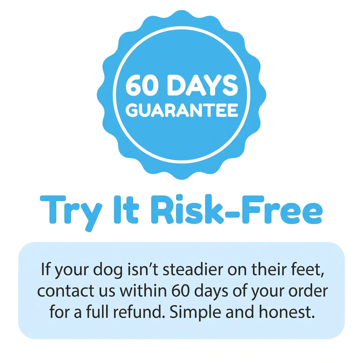 The #1 B-Complex For Dogs