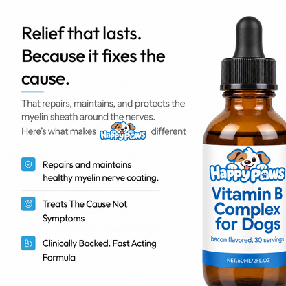 The #1 B-Complex For Dogs