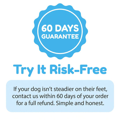 The #1 B-Complex For Dogs