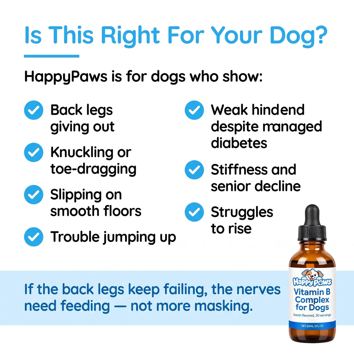 The #1 B-Complex For Dogs