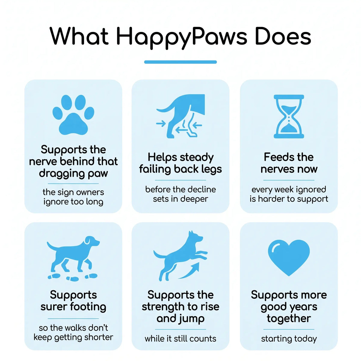 The #1 B-Complex For Dogs