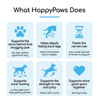 The #1 B-Complex For Dogs